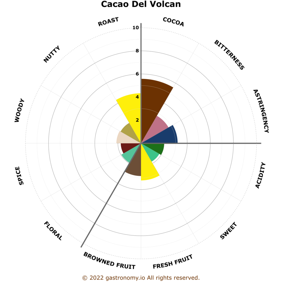 Cacao del volcan