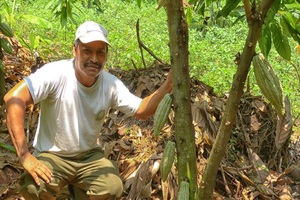 Cacao itzalku web