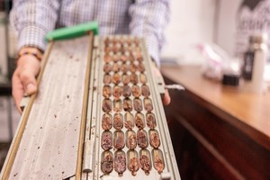 Rs37743 cacao verapaz guatemala 2021 24 crop