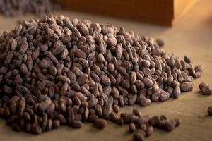 Rs39713 qori warmi crop kall kakao