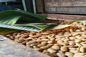 483417011 1037670888393119 6029324116932489752 n